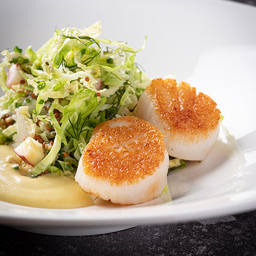 the Sous Vide Professional® Creative Series